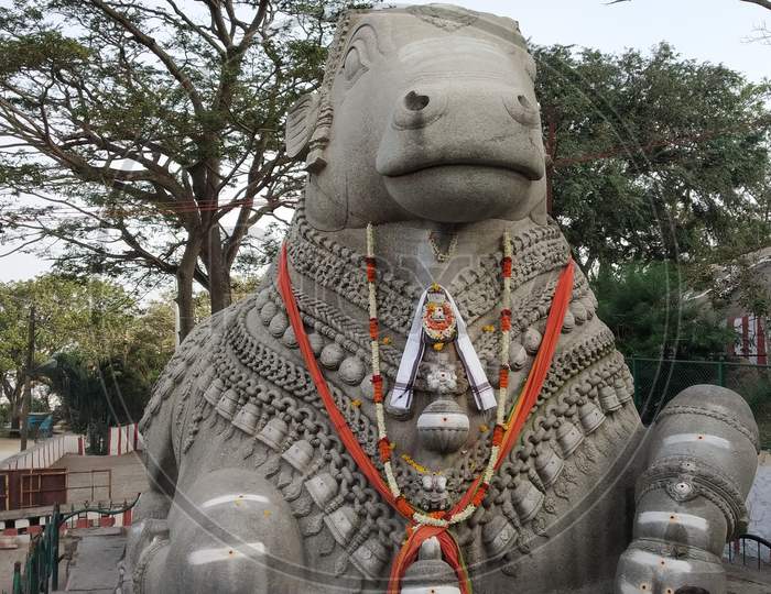 Stone Carved Bull Or Nandi Statue In an Hindu Temple