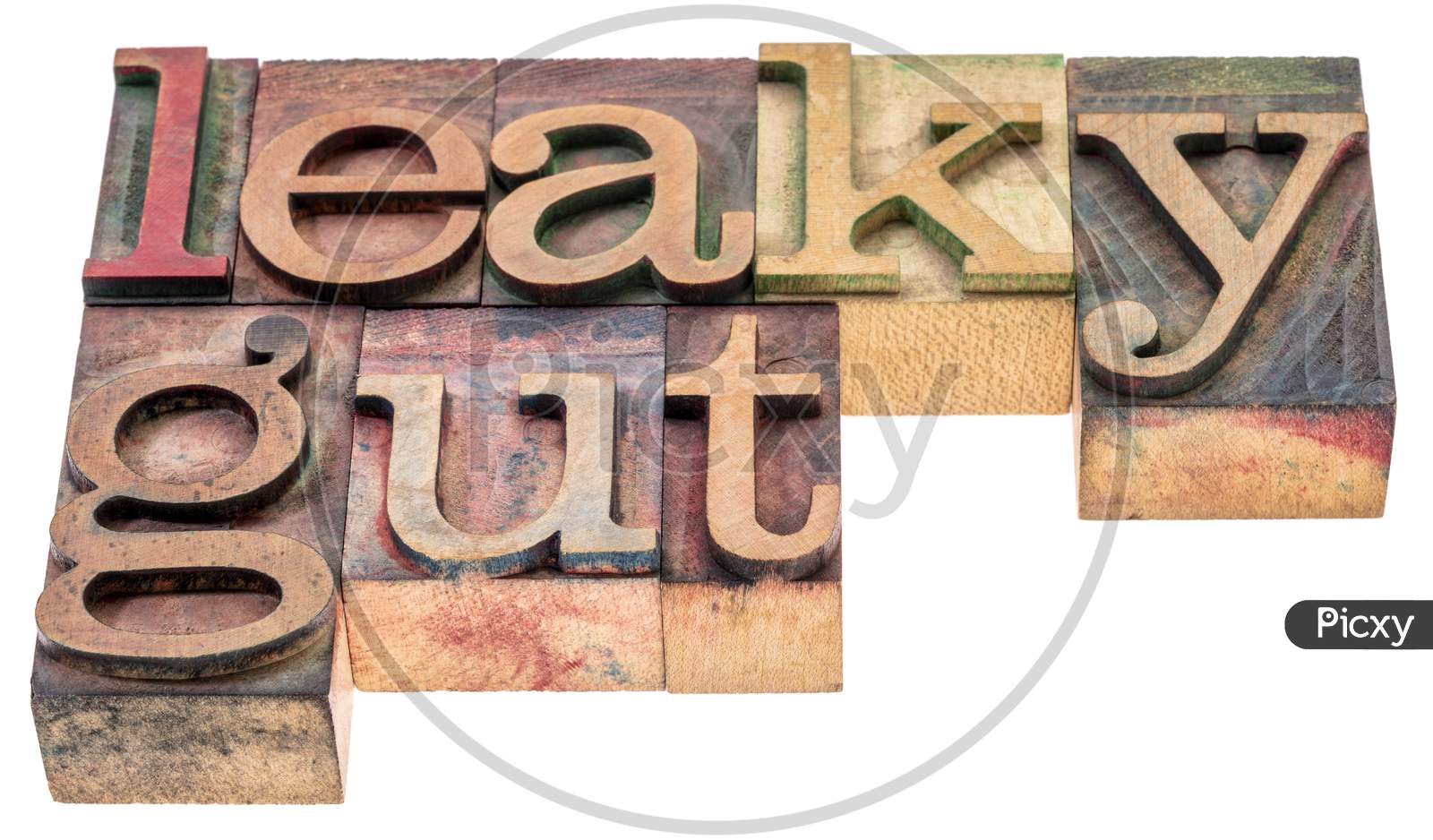 Leaky Gut - Isolated Word Abstract In Vintage Letterpress Wood Type Printing Blocks, Digestive Health Concept