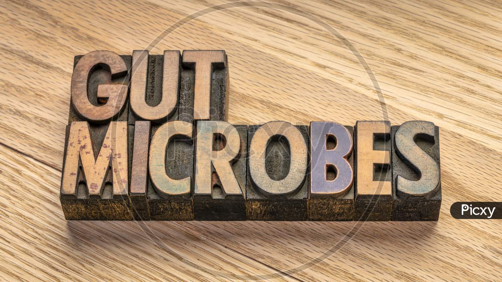 Gut Microbes In Vintage Letterpress Wood Type Blocks Against Grained Wood Planks, Digestive Health Concept