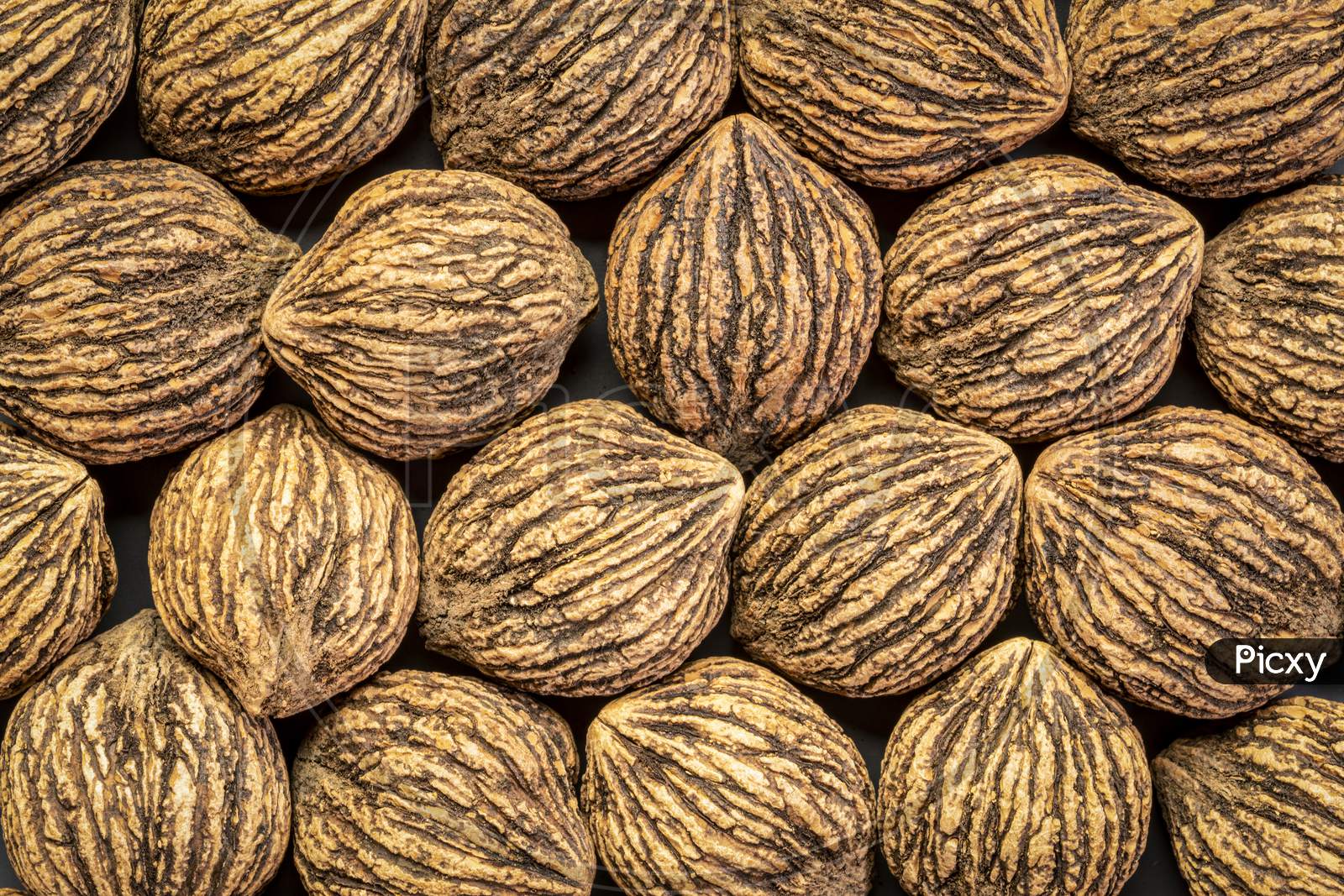 Abstract Background Of Organic Black Walnuts In Shells