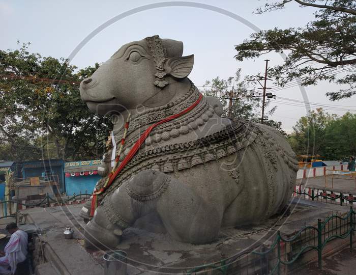 Large Nandi Statue carved in stone Hindu Temple Mysore Karnataka Nandi Hill Statue 12