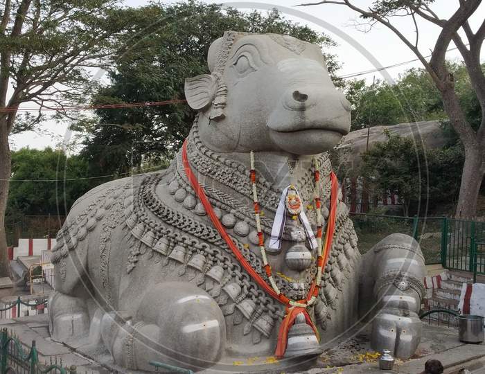 Large Nandi Statue carved in stone Hindu Temple Mysore Karnataka Nandi Hill Statue  6