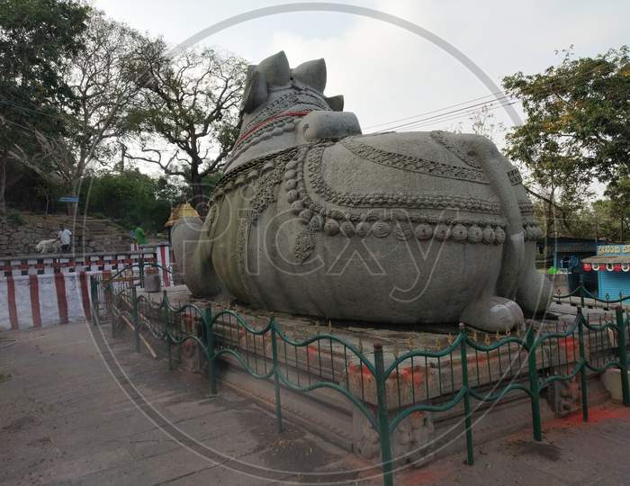Large Nandi Statue carved in stone Hindu Temple Mysore Karnataka Nandi Hill Statue 15