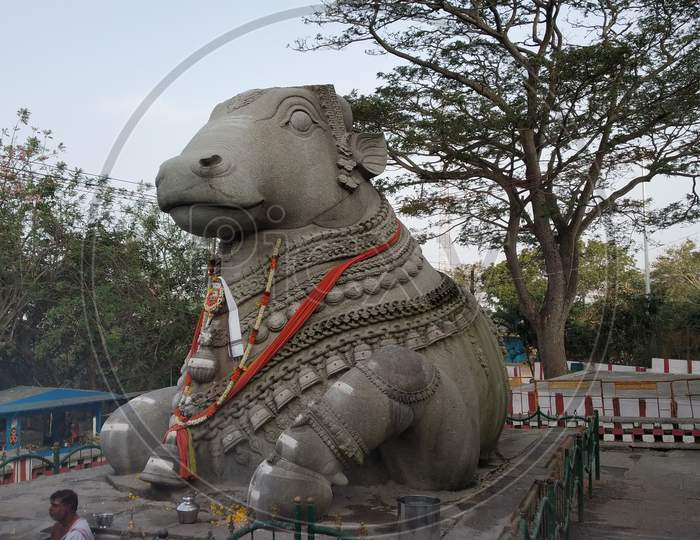 Large Nandi Statue carved in stone Hindu Temple Mysore Karnataka Nandi Hill Statue 10