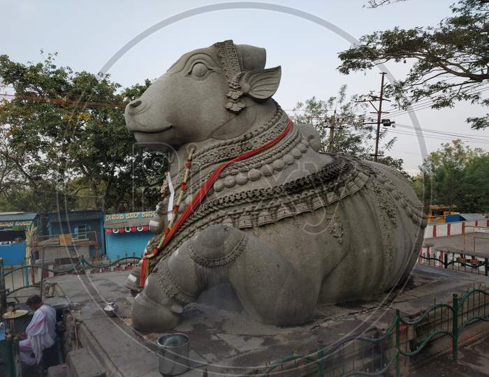 Large Nandi Statue carved in stone Hindu Temple Mysore Karnataka Nandi Hill Statue 13