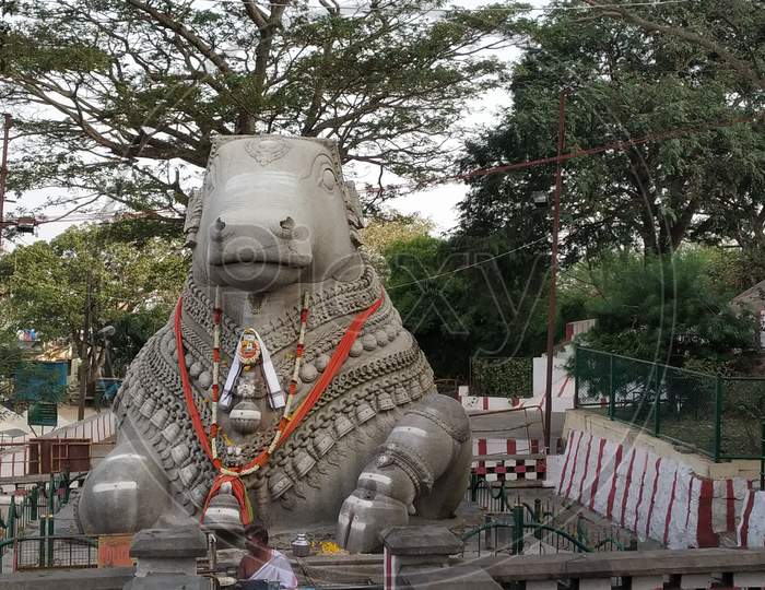 Large Nandi Statue carved in stone Hindu Temple Mysore Karnataka Nandi Hill Statue 9