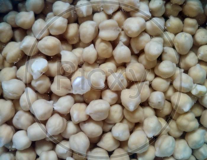 Chick pea, white pick soaked in the water