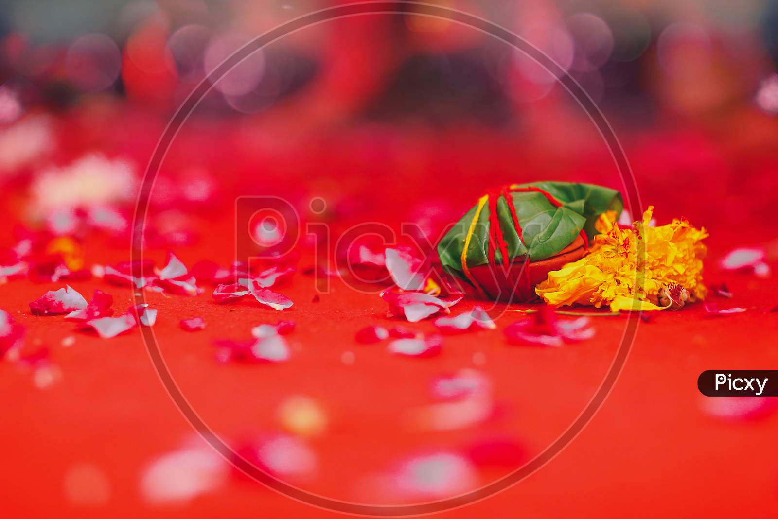 Photograph of Indian Wedding Ceremony
