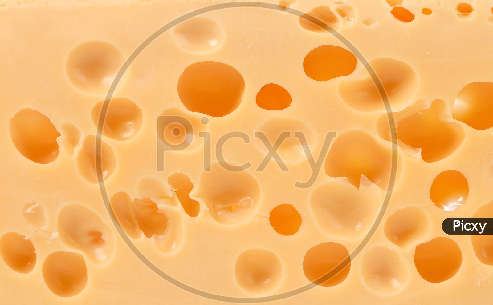 Close Up Of Texture Dutch Cheese. Whole Background.