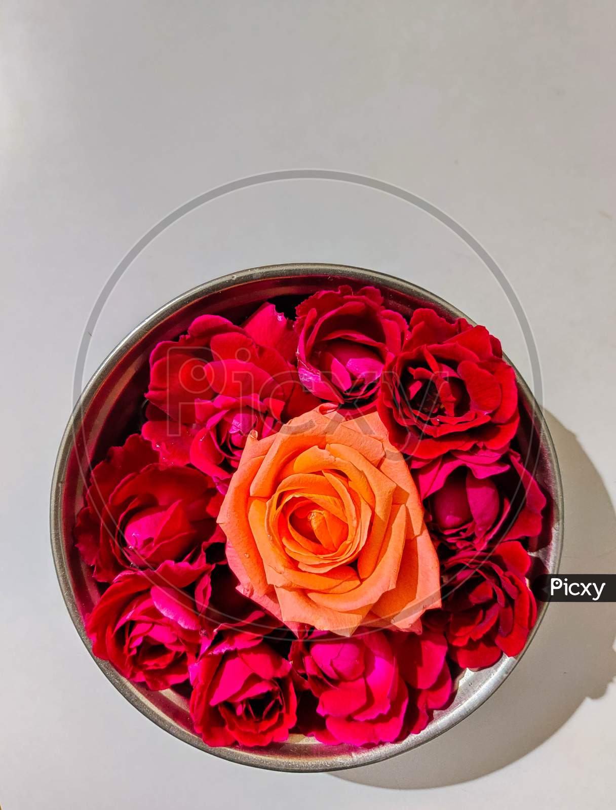 Beautiful oranges pink flower between red roses in bowl