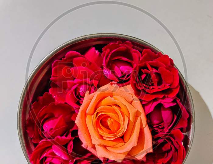Beautiful oranges pink flower between red roses in bowl