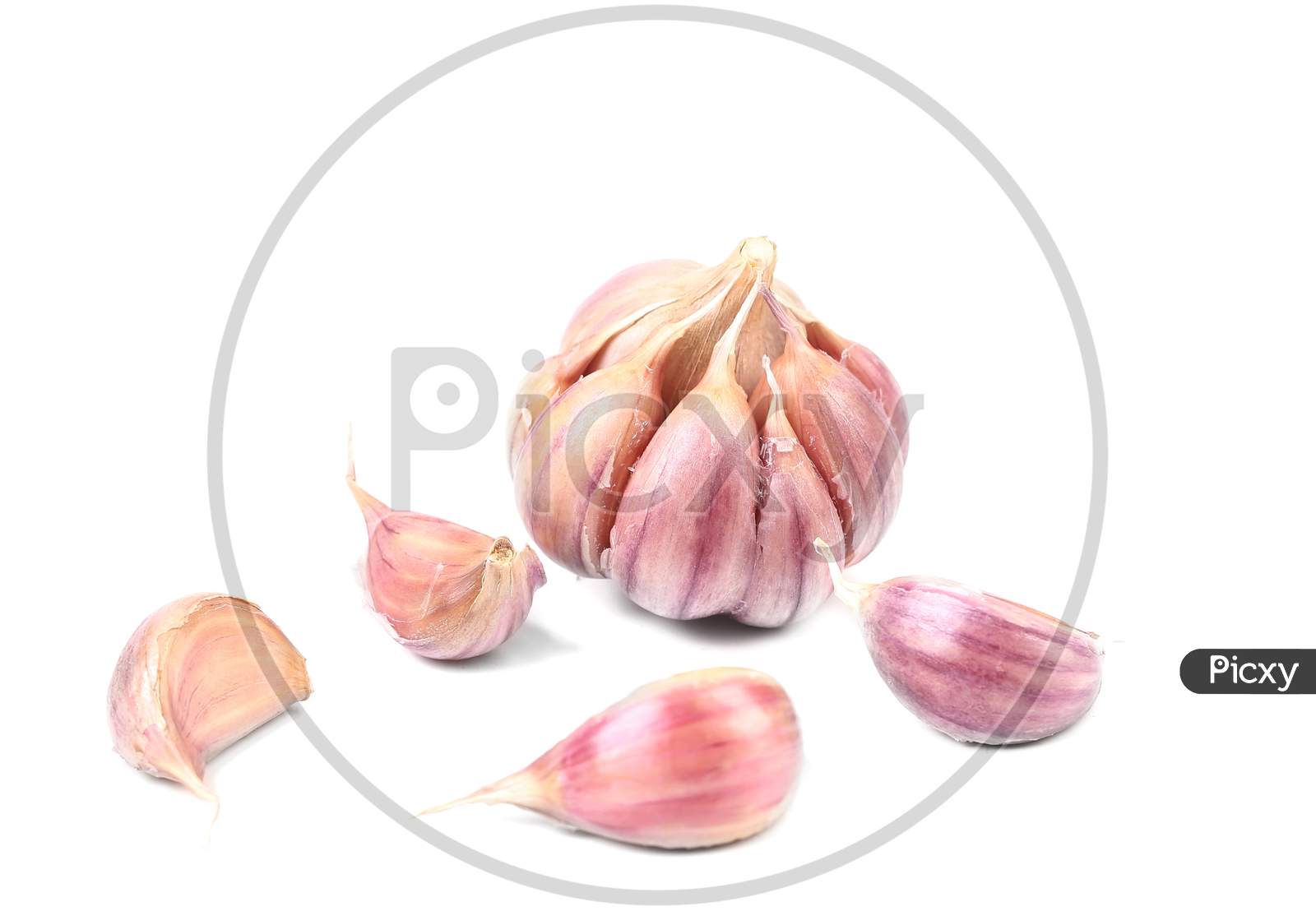 Fresh Garlic And Cloves. Isolated On A White Background.