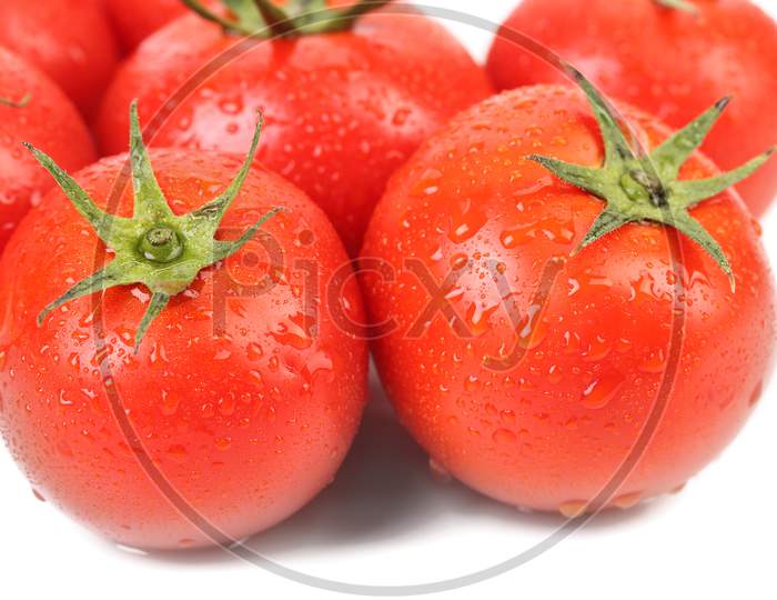 Some Tomatoes With Water Drops. Isolated On A White Background.