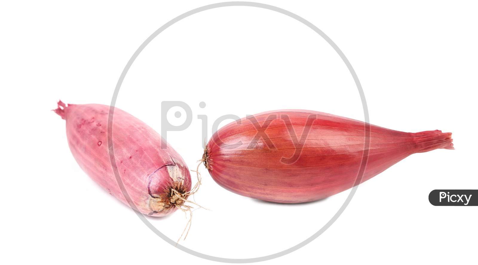 Organic Red Onion Bulbs. Isolated On A White Background