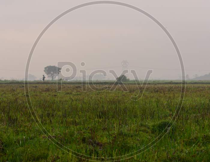 A Man Standing in a fields