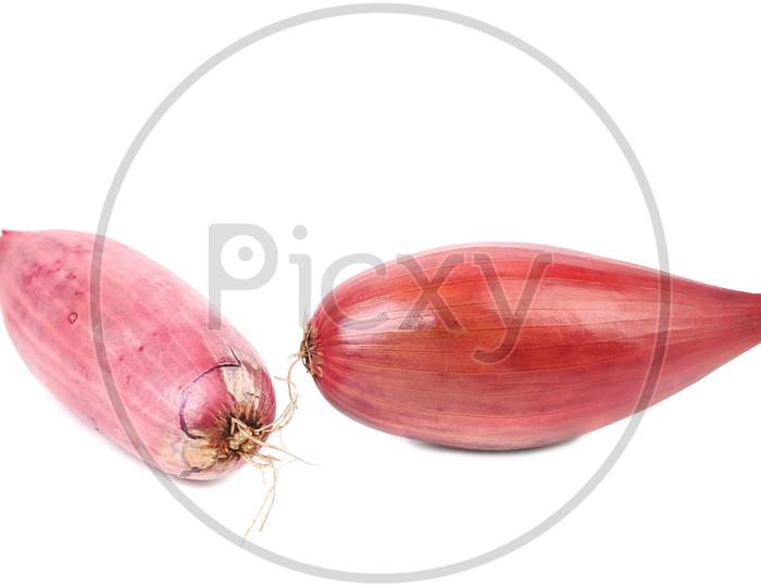 Organic Red Onion Bulbs. Isolated On A White Background