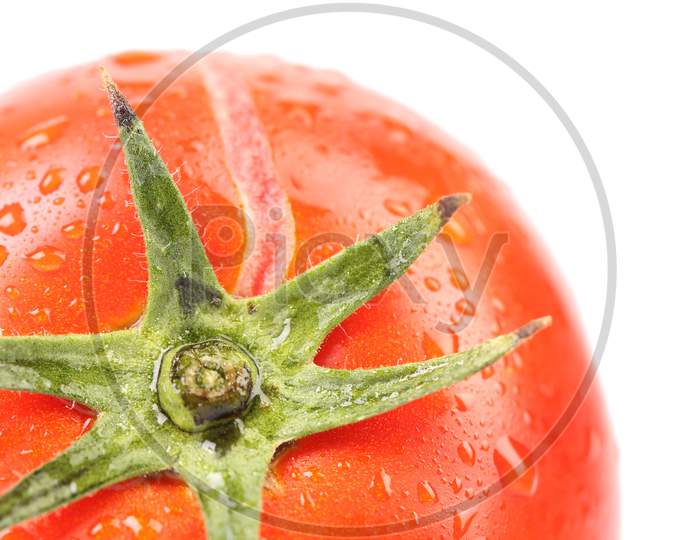 Background Of Tomato With Water Drops. There Is White Space For Text