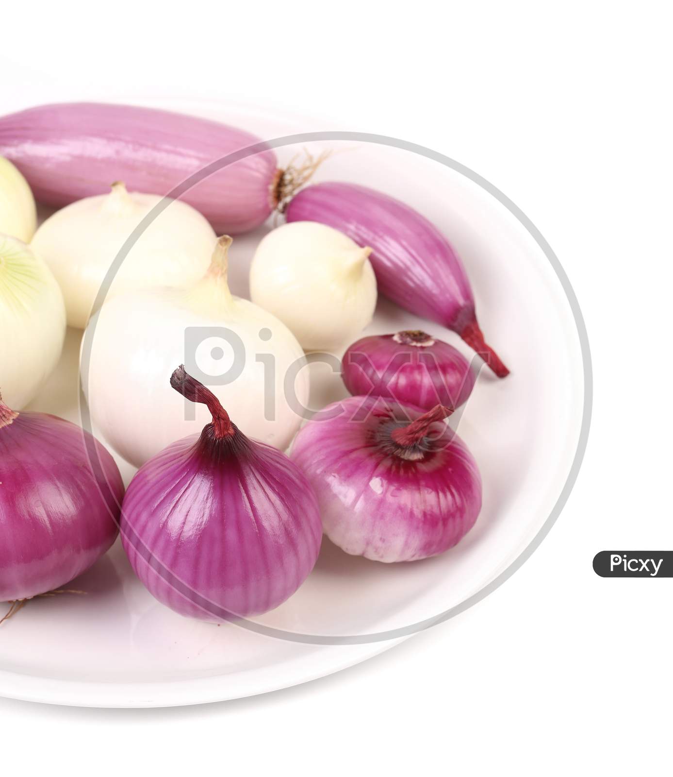 Wiew Of Different Onions On A Plate. There Is White Space For Text