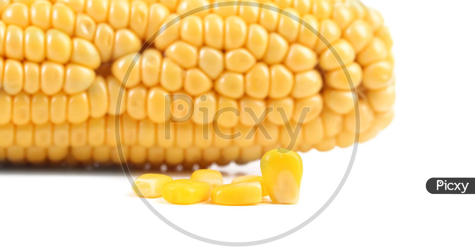 Tasty Yellow Ear Of Corn.  Isolated On White Background