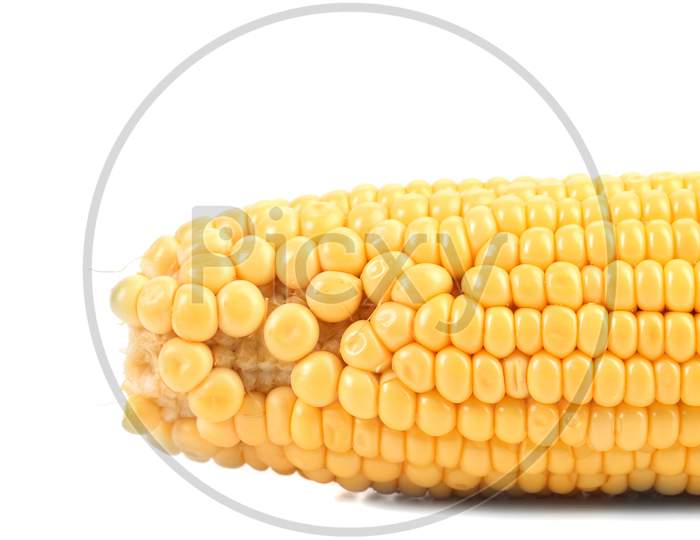 Tasty Yellow Ear Of Corn. Isolated On A White Background.