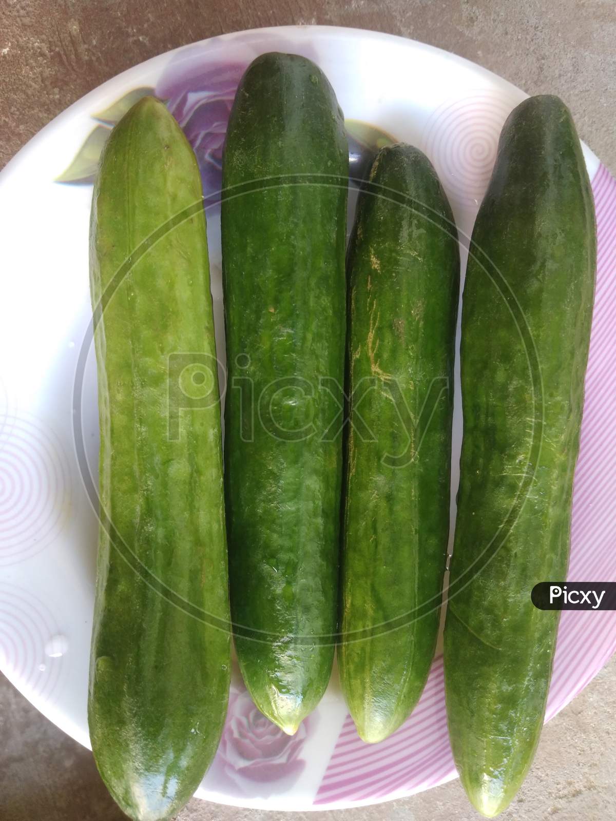Cucumbers in summer season, in the day time, in mirpur Azad Kashmir.