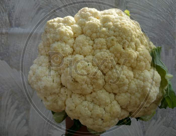 Cauliflower, vegetable with white background, in the day time, in mirpur Azad Kashmir.