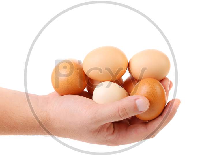 Hand Holding Brown Eggs. Isolated On A White Background