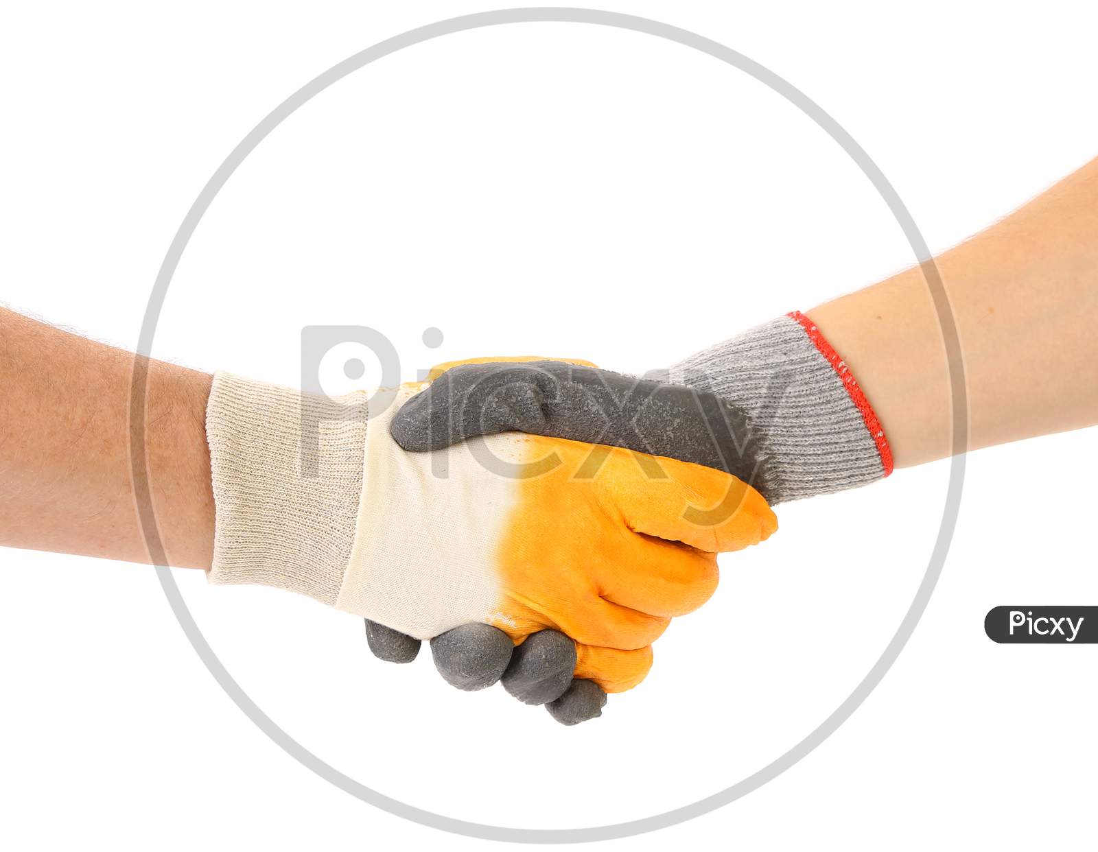 Two Hands In Gloves Of Hand Shake. Isolated On A White Background