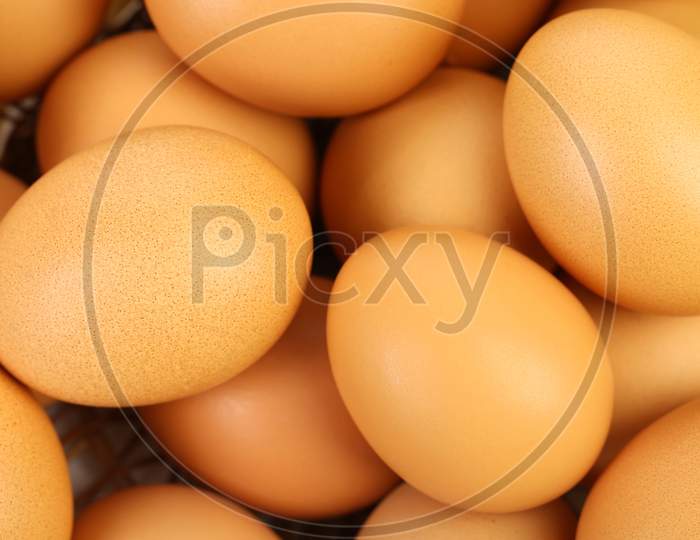 Close Up Of Many Fresh Eggs. Whole Background
