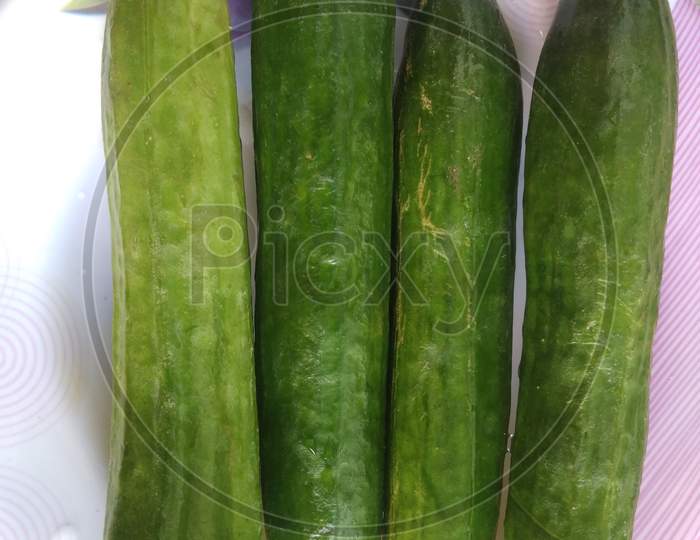 Cucumbers in summer season, in the day time, in mirpur Azad Kashmir.