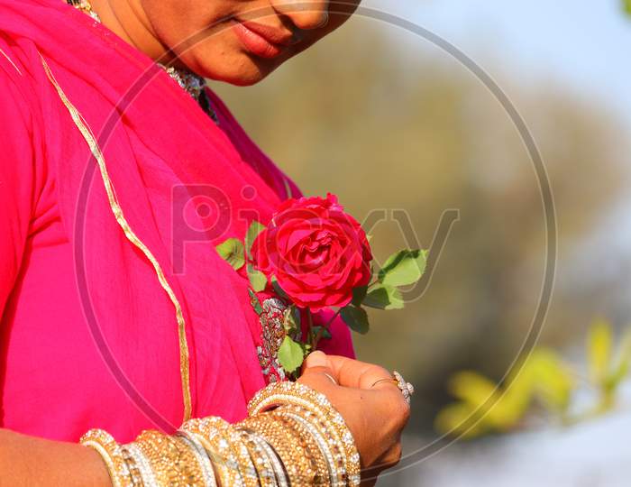 A red rose hold on women hand with pink color sari