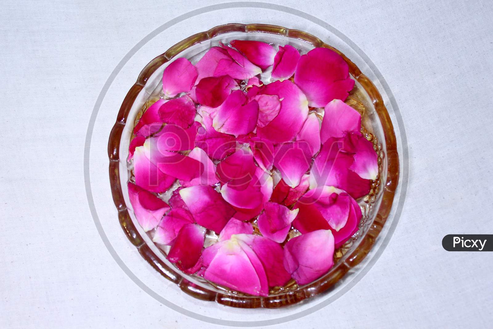 Rose Flower Petals In a Bowl Closeup