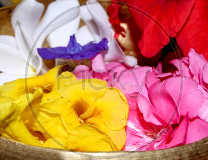 Flowers Collected For Performing Pooja For Hindu Gods In Indian Houses
