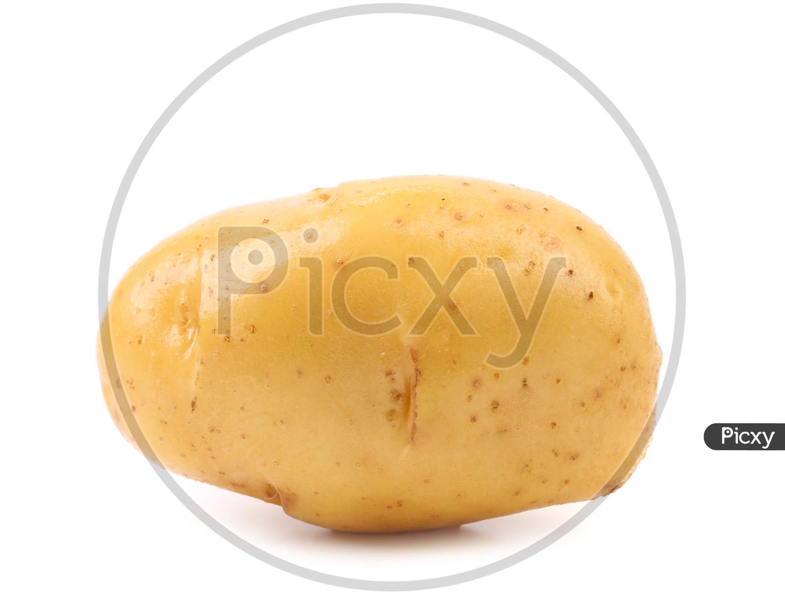 Close Up Of White Potato. Isolated On A White Background