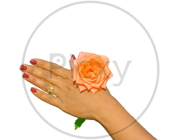 A rose hold on nail polished girl hand for skin care