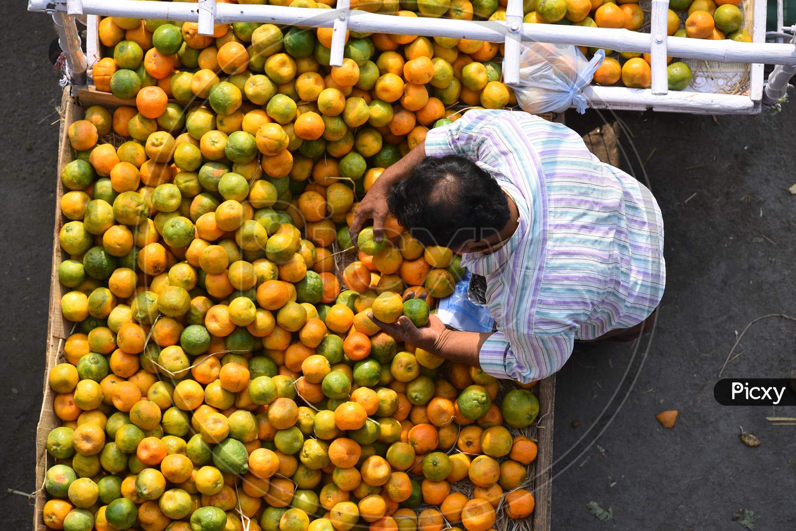 A orange fruit vendor arranges fruits, citric acid rich fruits gain demand amid corona virus outbreak