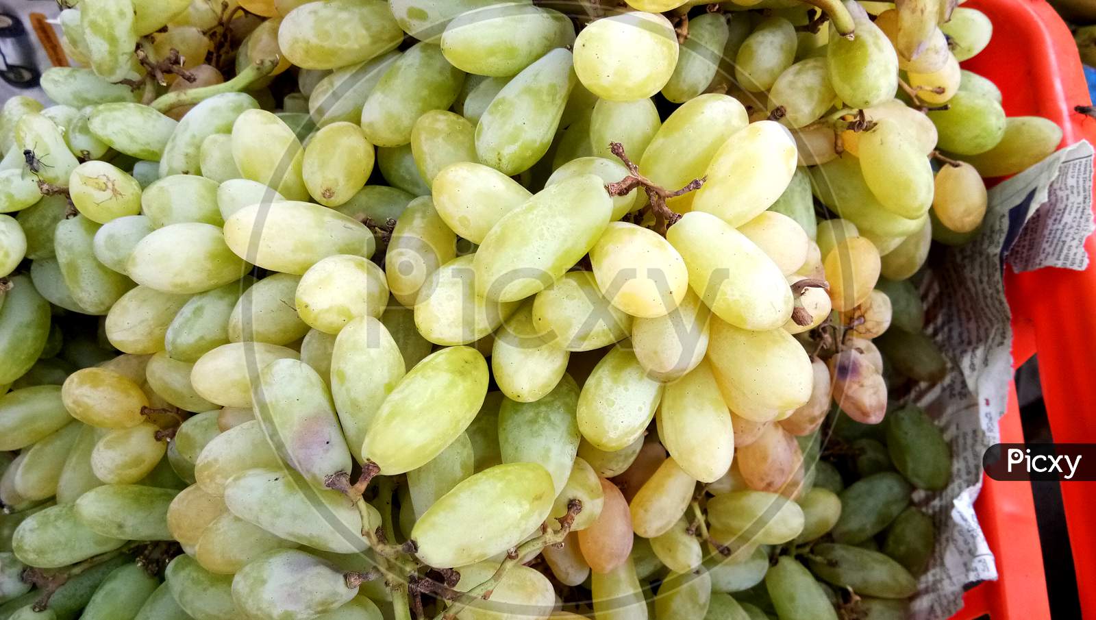 Ripe Delicious Grapes In The Market On The Counter