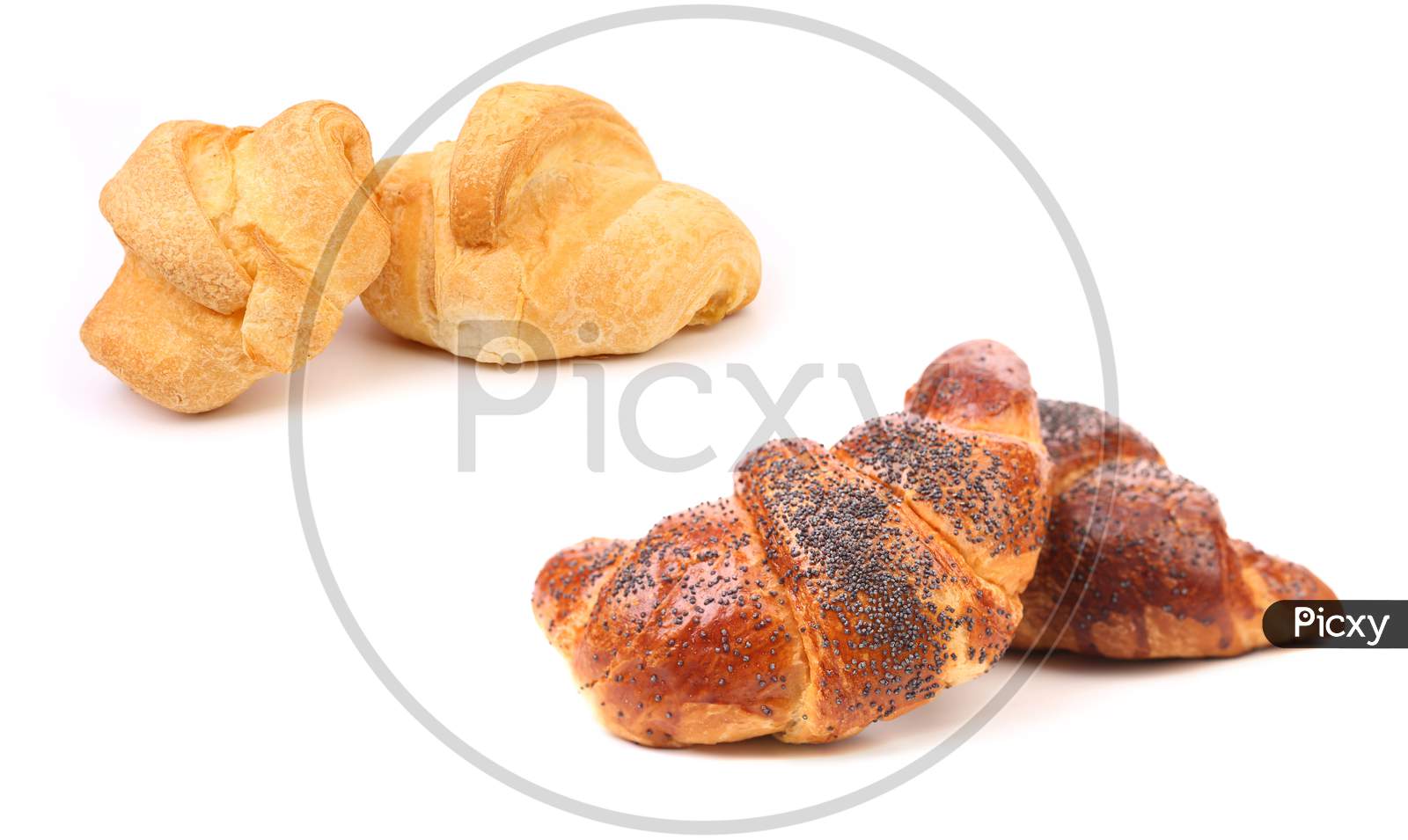 Croissant Crescent Roll With Poppy. Isolated On White Background.