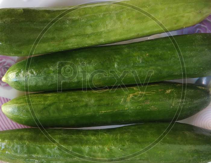 Cucumbers, in the summer, in the day time, in mirpur Azad Kashmir.