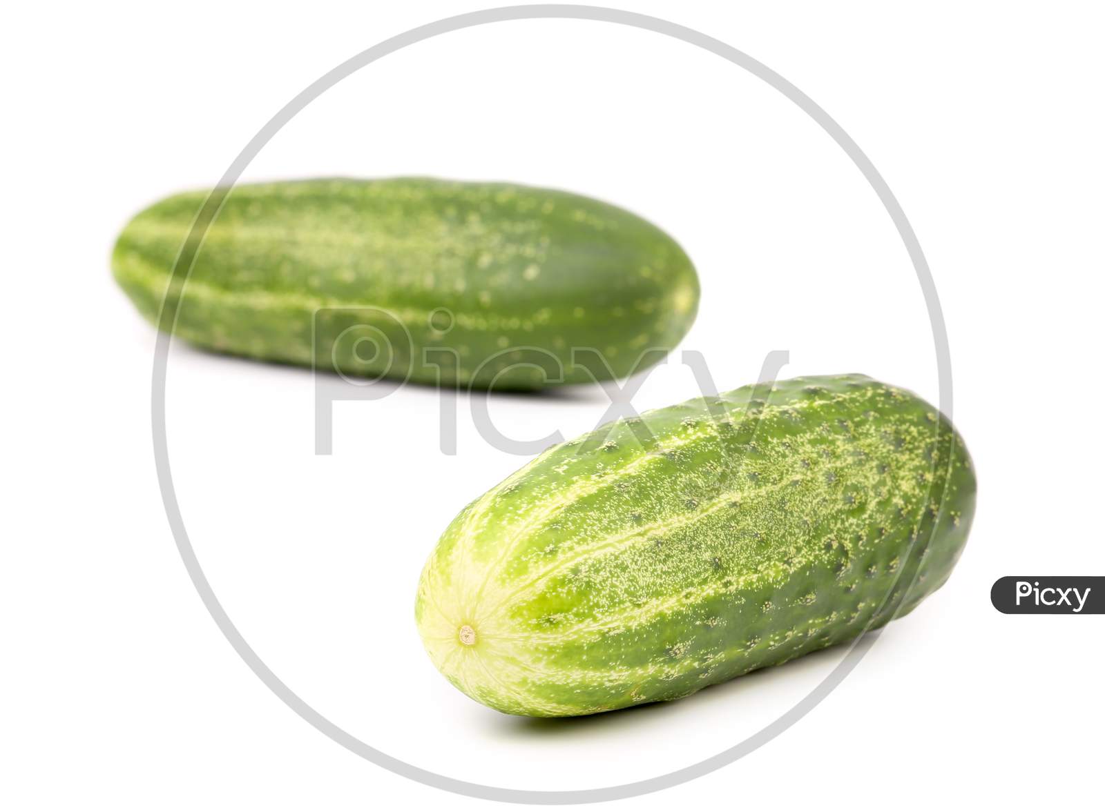 Two Fresh Green Cucumbers. Isolated On A White Background.