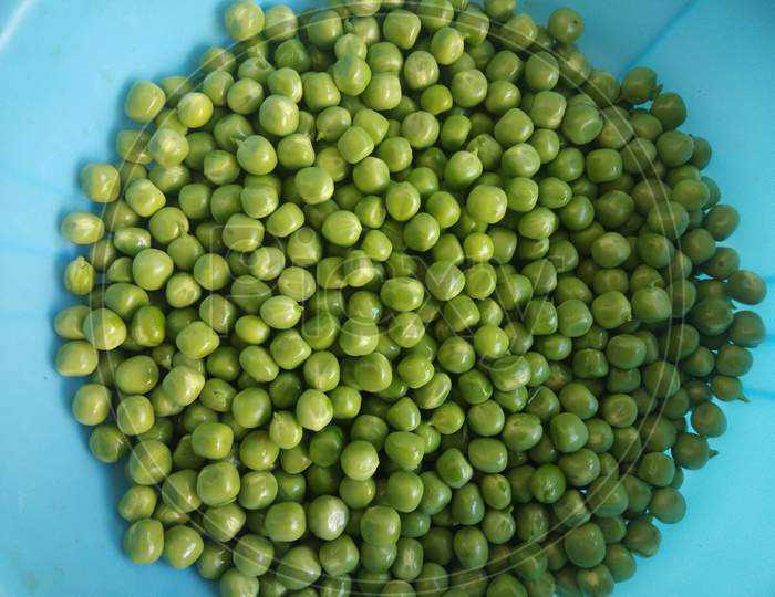 Pea grains in a pot, in the day time, in mirpur Azad Kashmir.