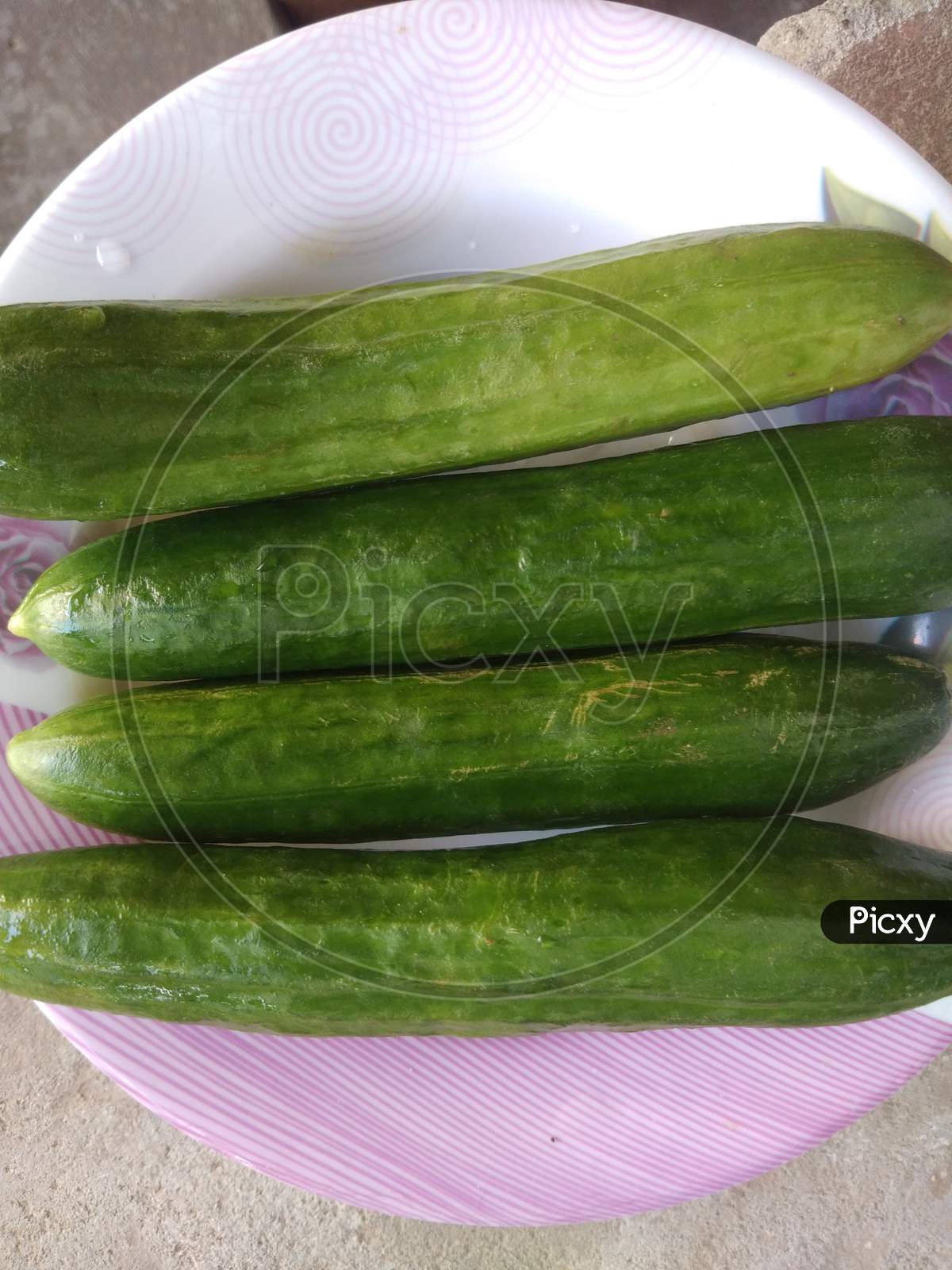 Cucumbers, in the summer, in the day time, in mirpur Azad Kashmir.