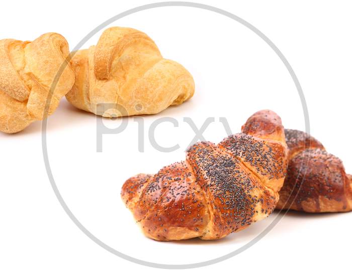 Croissant Crescent Roll With Poppy. Isolated On White Background.