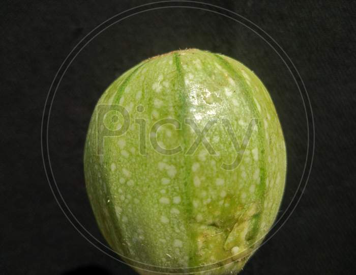 Apple gourd or round-melon, vegetable, in the day time, in mirpur Azad Kashmir.