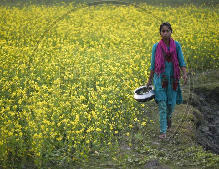 Daily Life. Barpeta, Assam, India. 24 January 2020. A Girl Walking After Work Next In A Mustard Field, At Kayakuchi Village, In Barpeta District Of Assam On Jan. 24, 2020. 