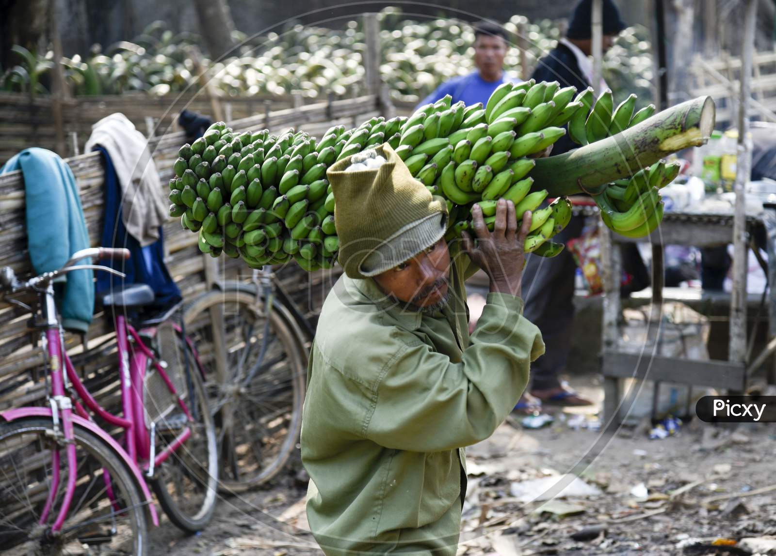 Banana Market In Assam