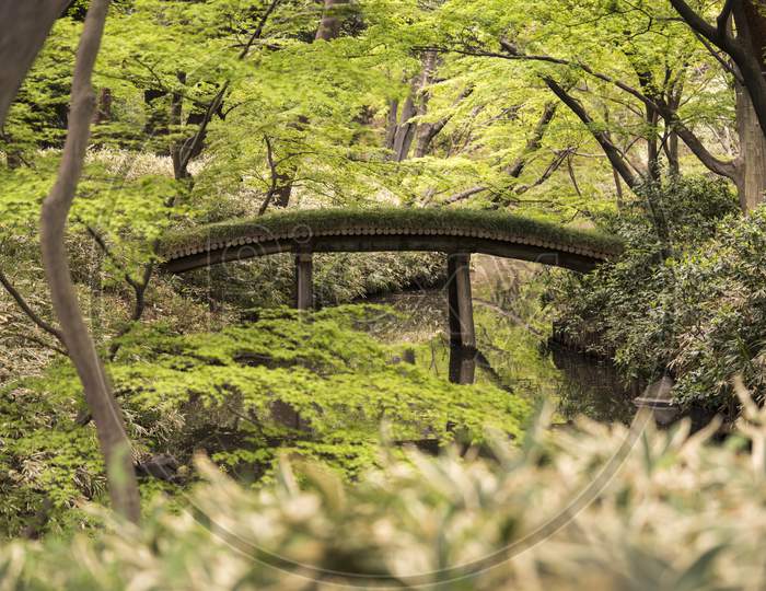 Yamakage Wooden Bridge Lined With Moss Seen From Tsutsuji Tea House In The Rikugien Garden In Bunkyo District, North Of Tokyo. The Park Was Created At The Beginning Of The 18Th Century.