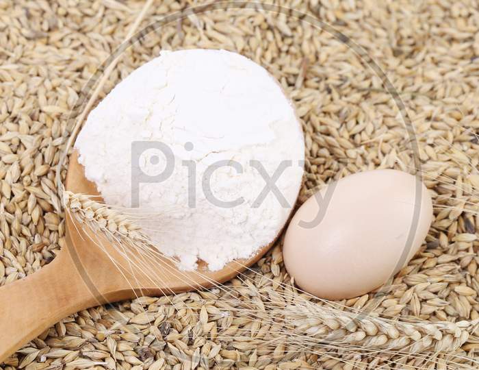 Blend Of Different Grains And Flour. Close Up. Whole Background.