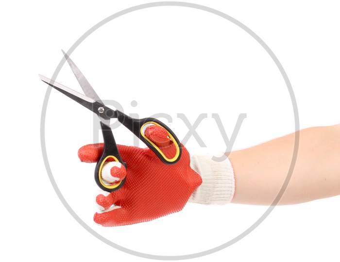 Scissors In Hand With Gloves. Isolated On A White Background.