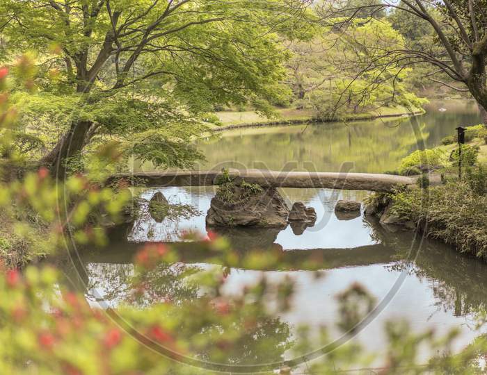 Japanese Togetsu Stone Bridge And Flower Bokeh On The Pond Of Rikugien Park In Bunkyo District, North Of Tokyo. The Park Was Created At The Beginning Of The 18Th Century.